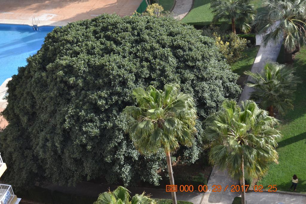 Hercules Apartment Benalmádena Zewnętrze zdjęcie